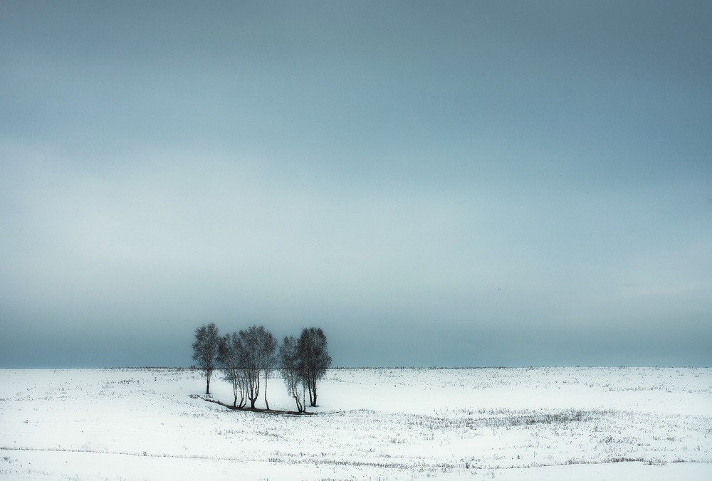 Landscapes