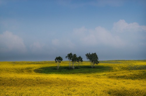 Landscapes