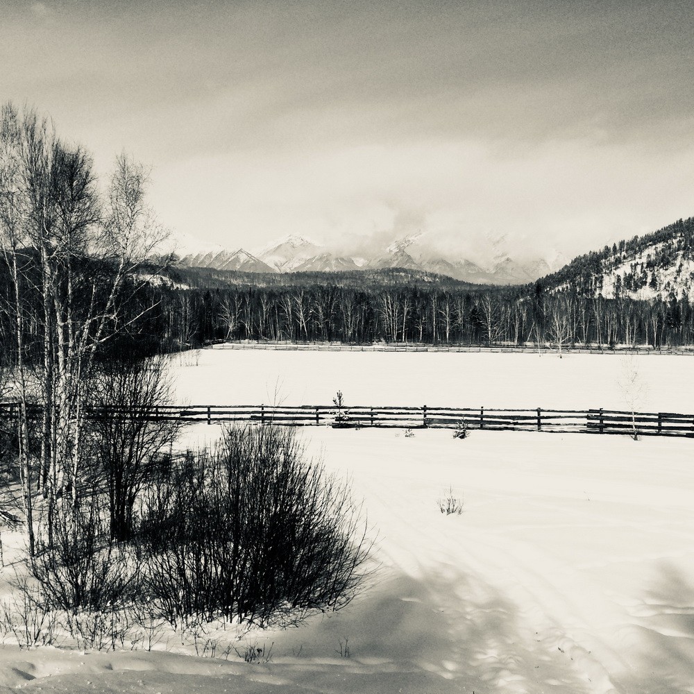 iPhonography
