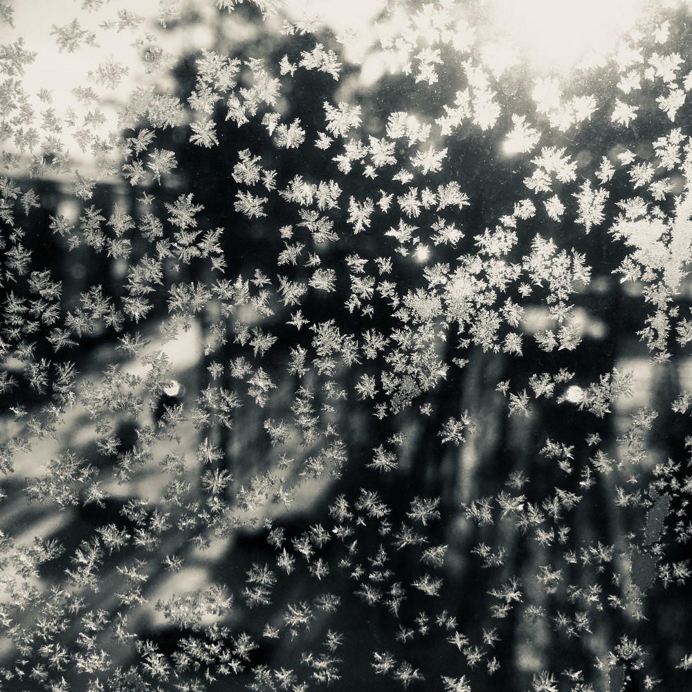 iPhonography