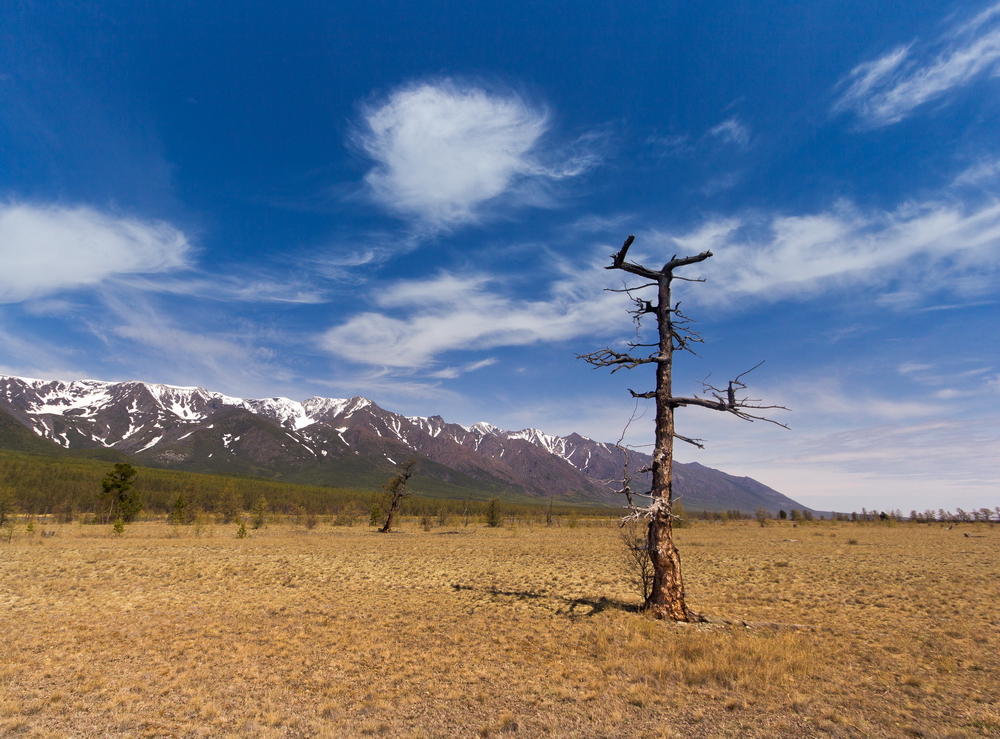 Music of Shamanic Winds