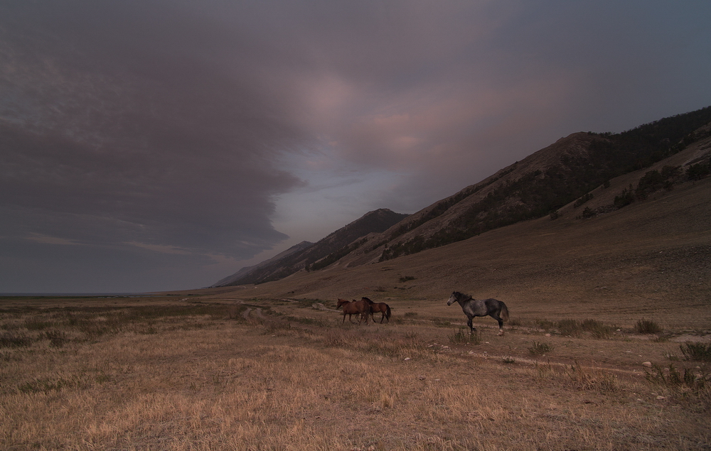 Music of Shamanic Winds