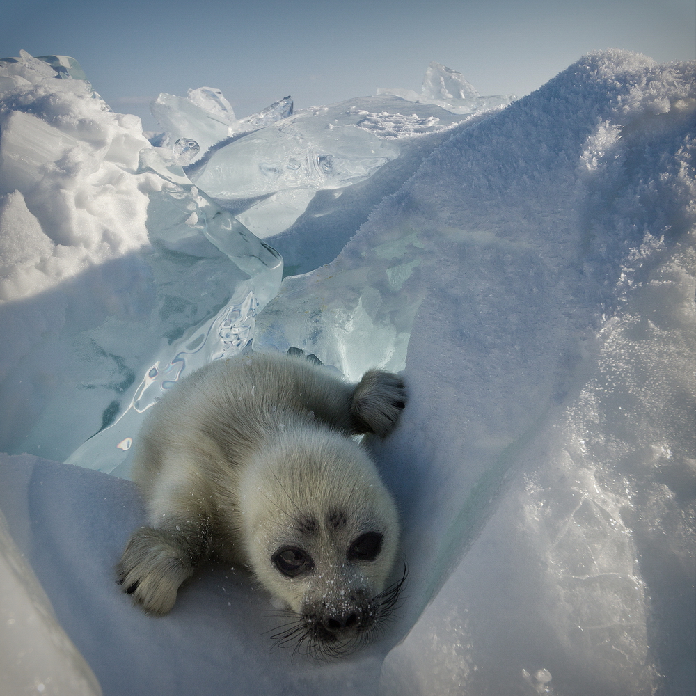 Baikal stories
