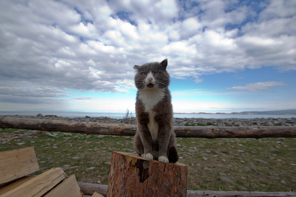Baikal stories