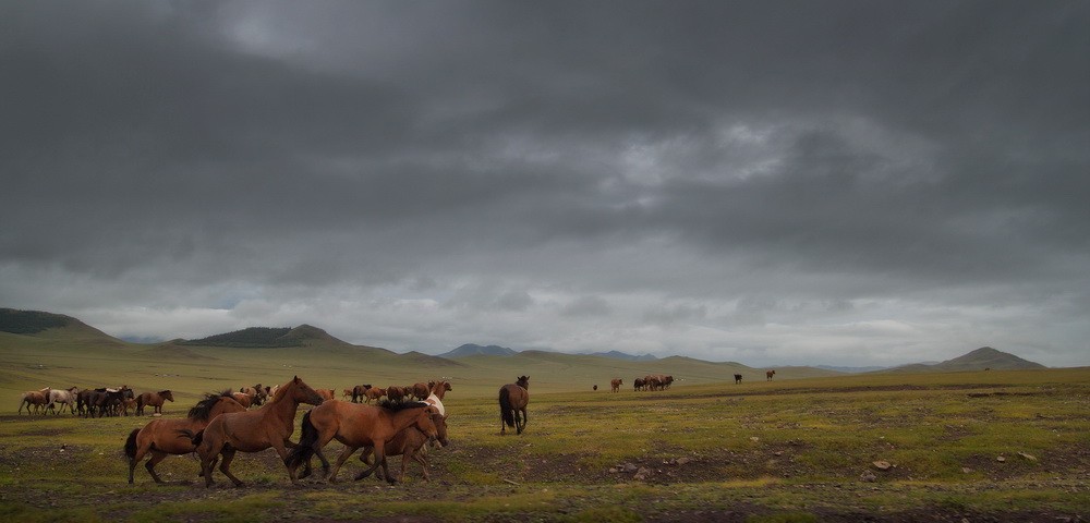 Mongolia: Landscapes