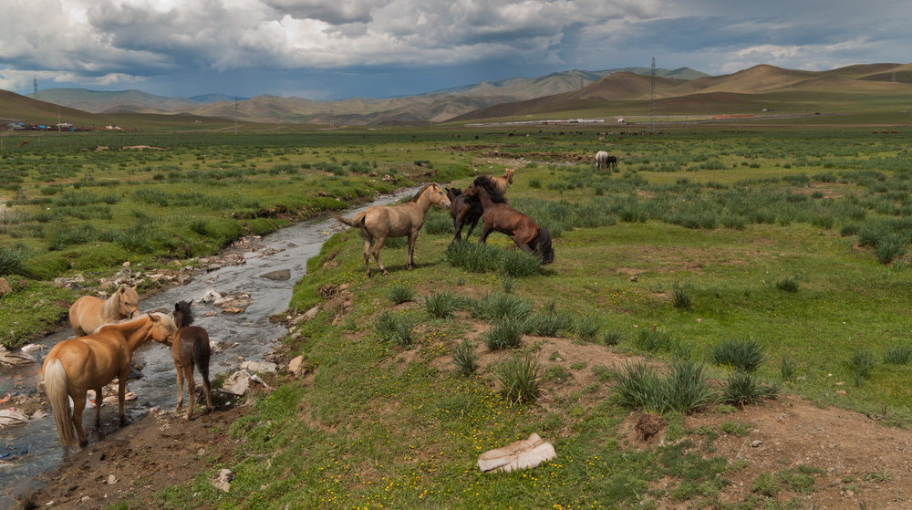 Mongolia: Landscapes