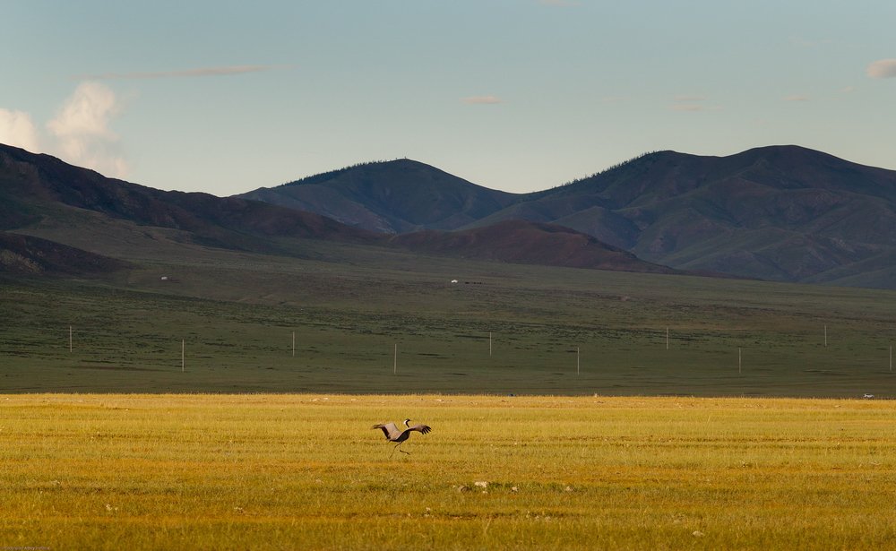 Mongolia: Landscapes