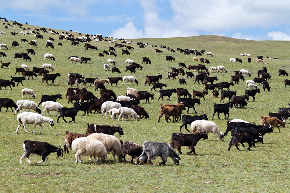 Mongolia: Landscapes