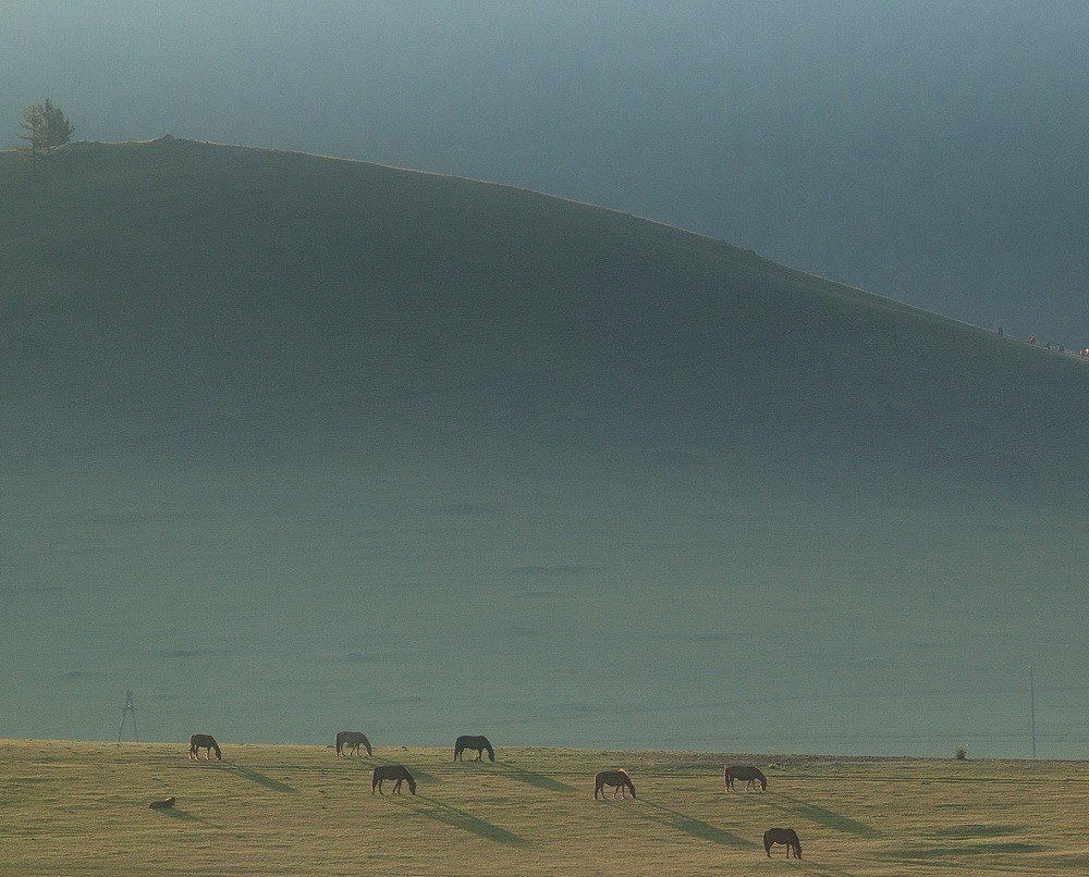 Mongolia: Landscapes