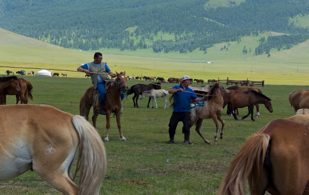 Mongolia: People