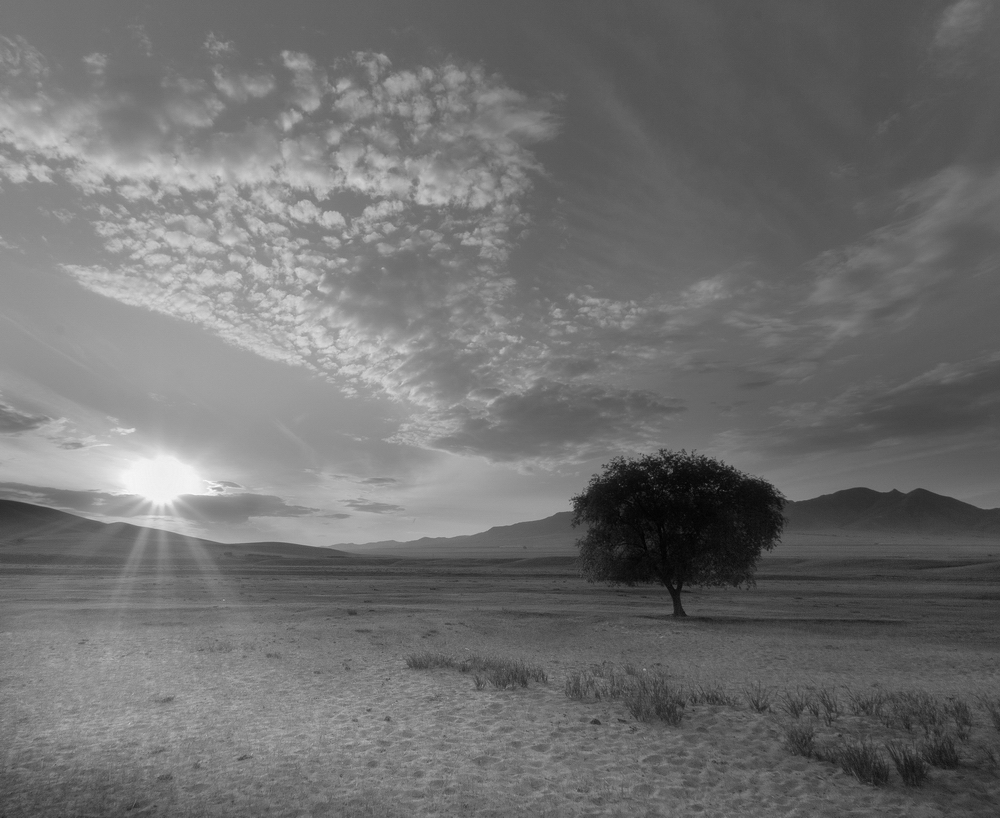 Mongolia: Black and White