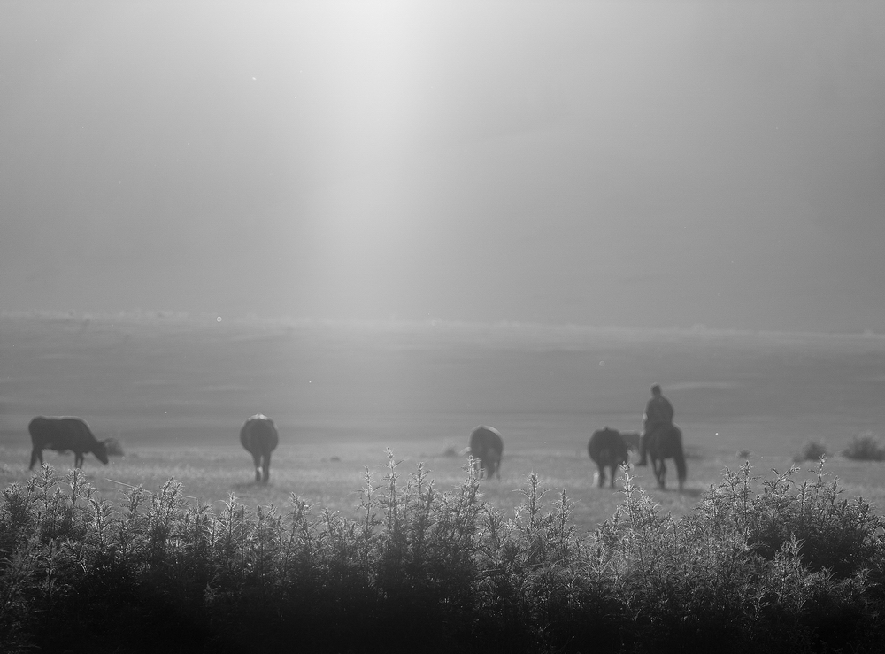 Mongolia: Black and White