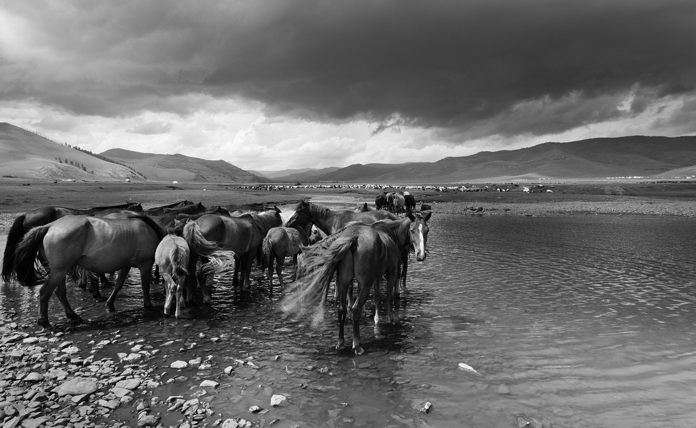 Mongolia: Black and White