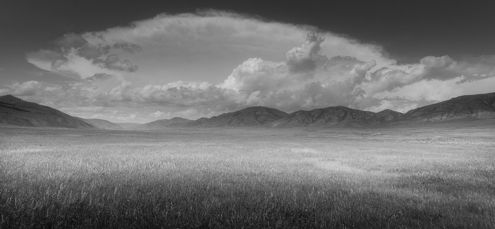 Mongolia: Black and White