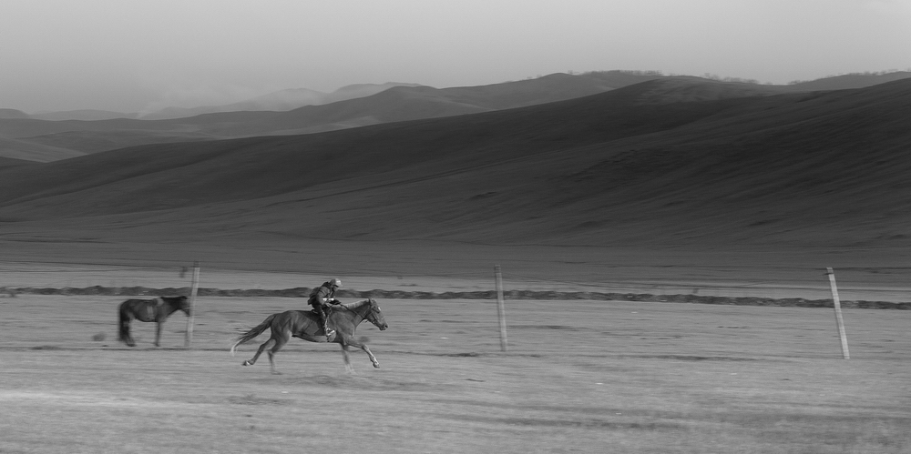 Mongolia: Black and White