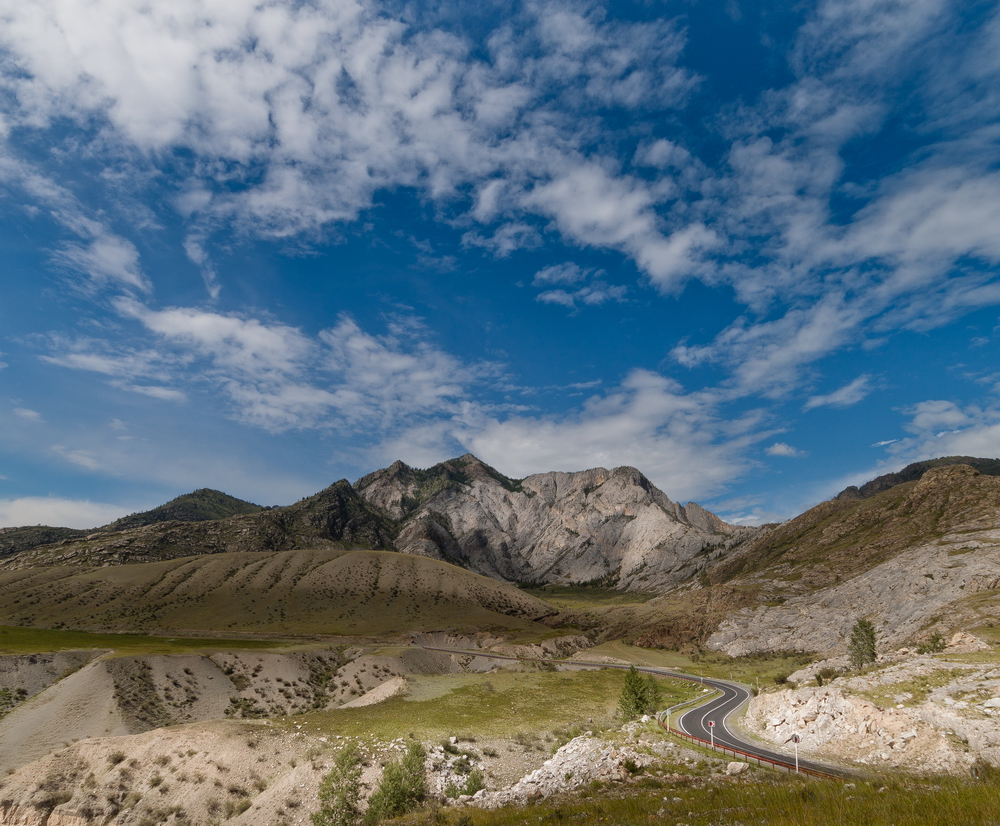 Altay