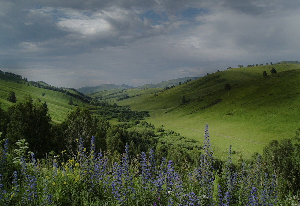 Altay