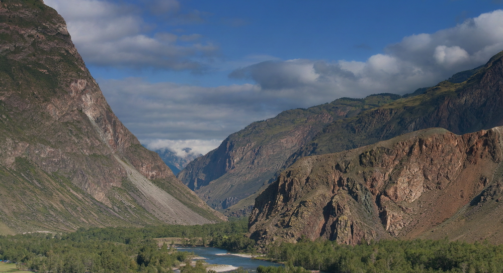 Altay