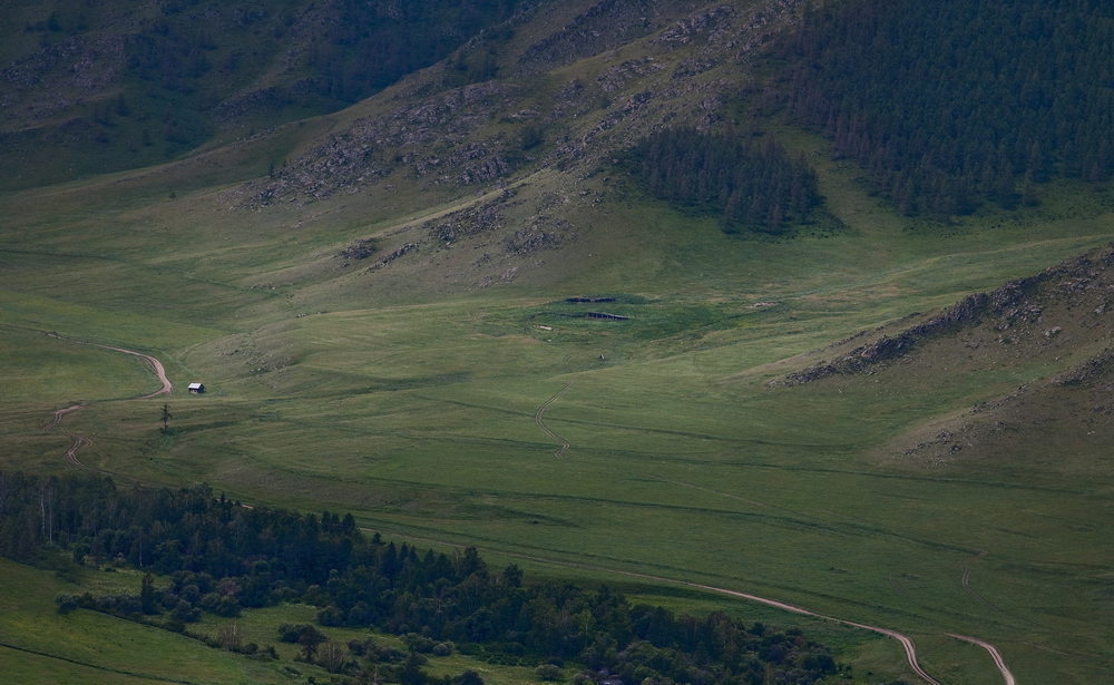 Altay