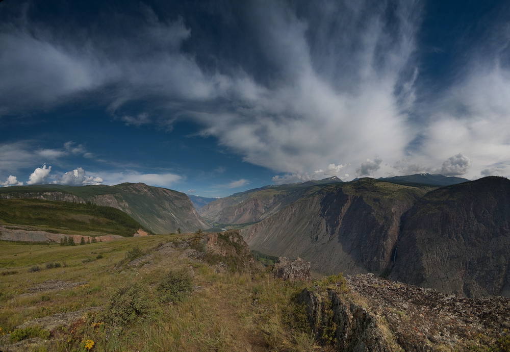 Altay