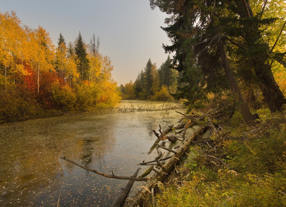 Landscapes: Autumn Sounds