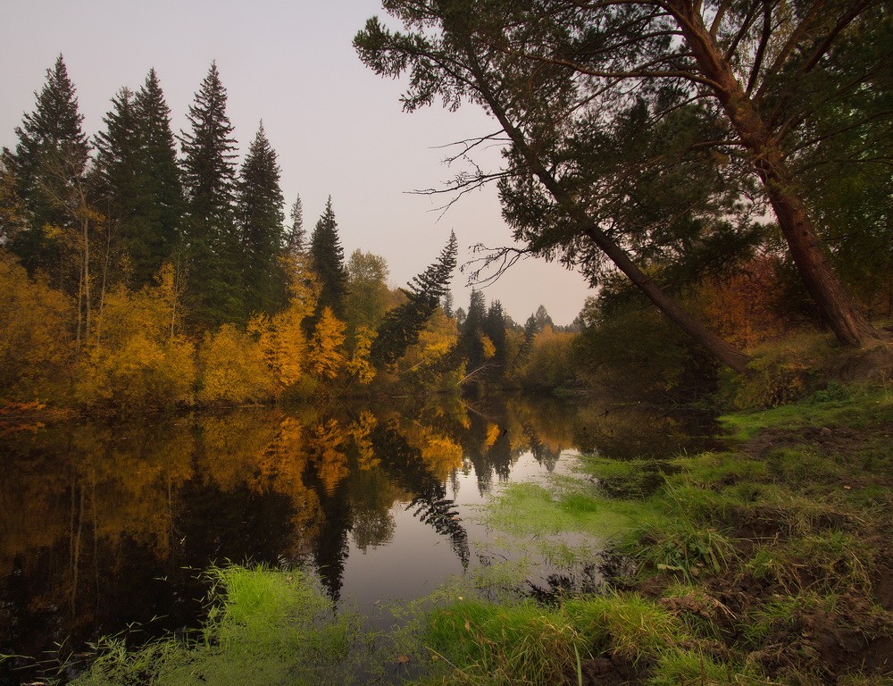 Landscapes: Autumn Sounds