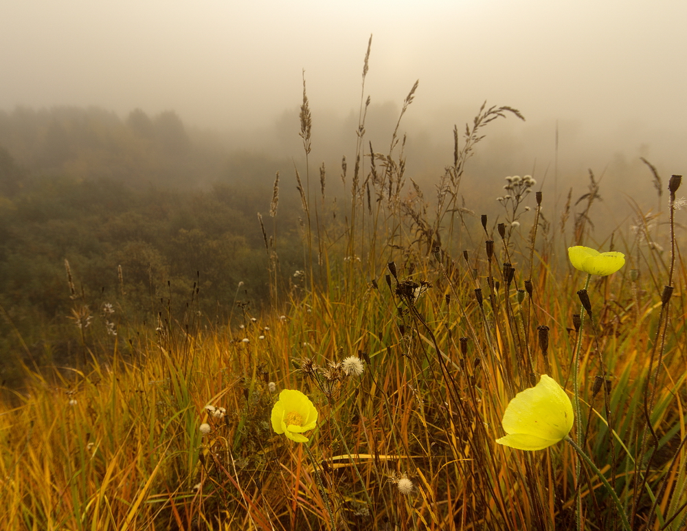 Landscapes: Autumn Sounds