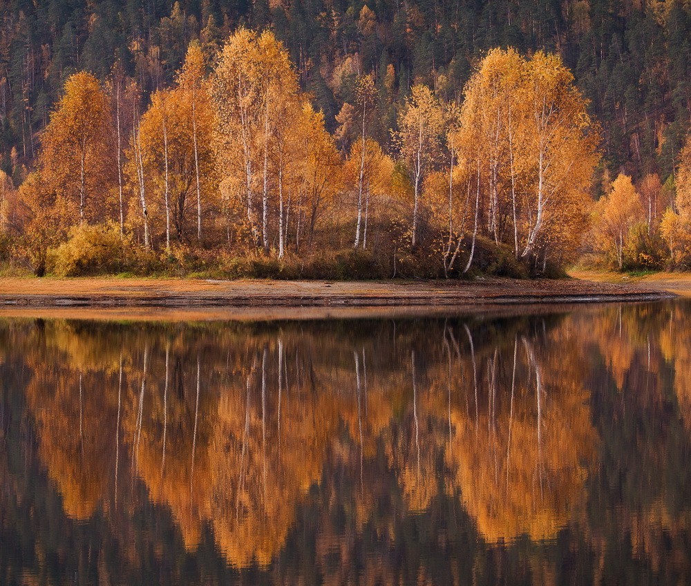 Landscapes: Autumn Sounds