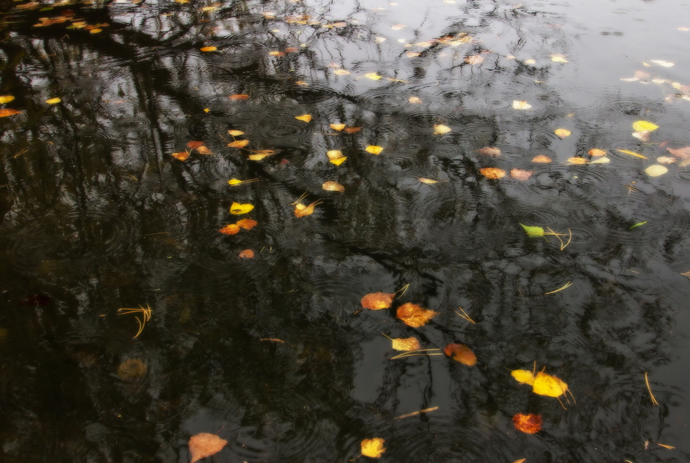 Landscapes: Autumn Sounds