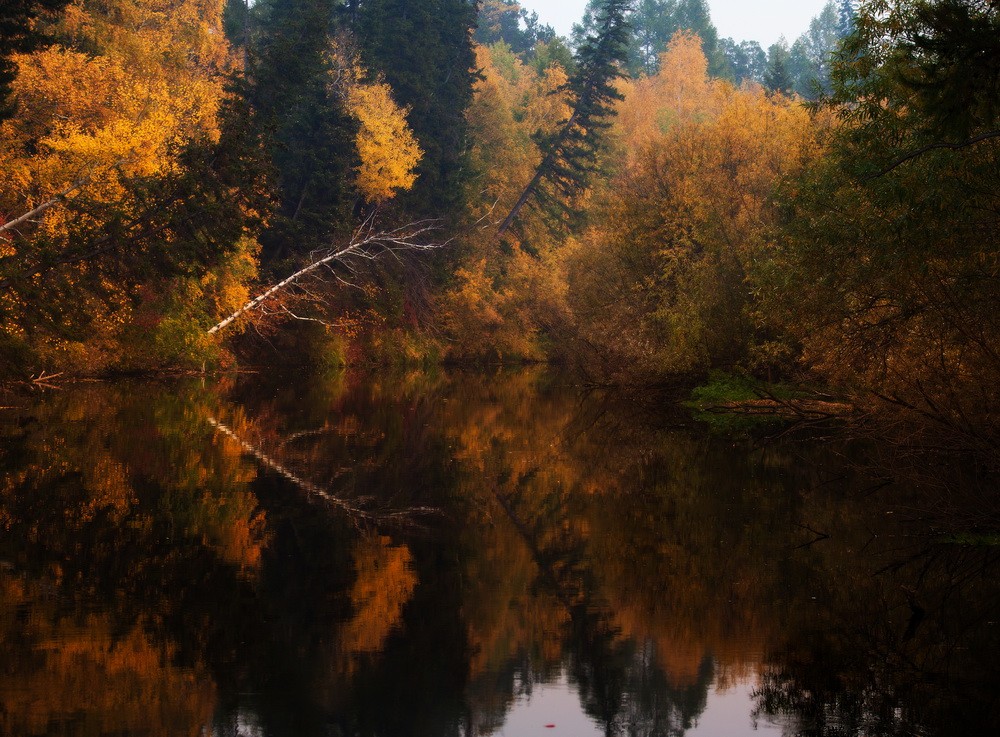 Landscapes: Autumn Sounds