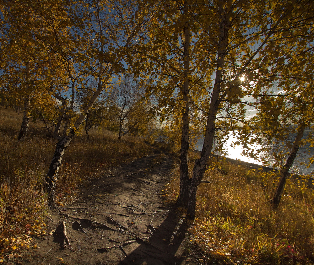 Landscapes: Autumn Sounds