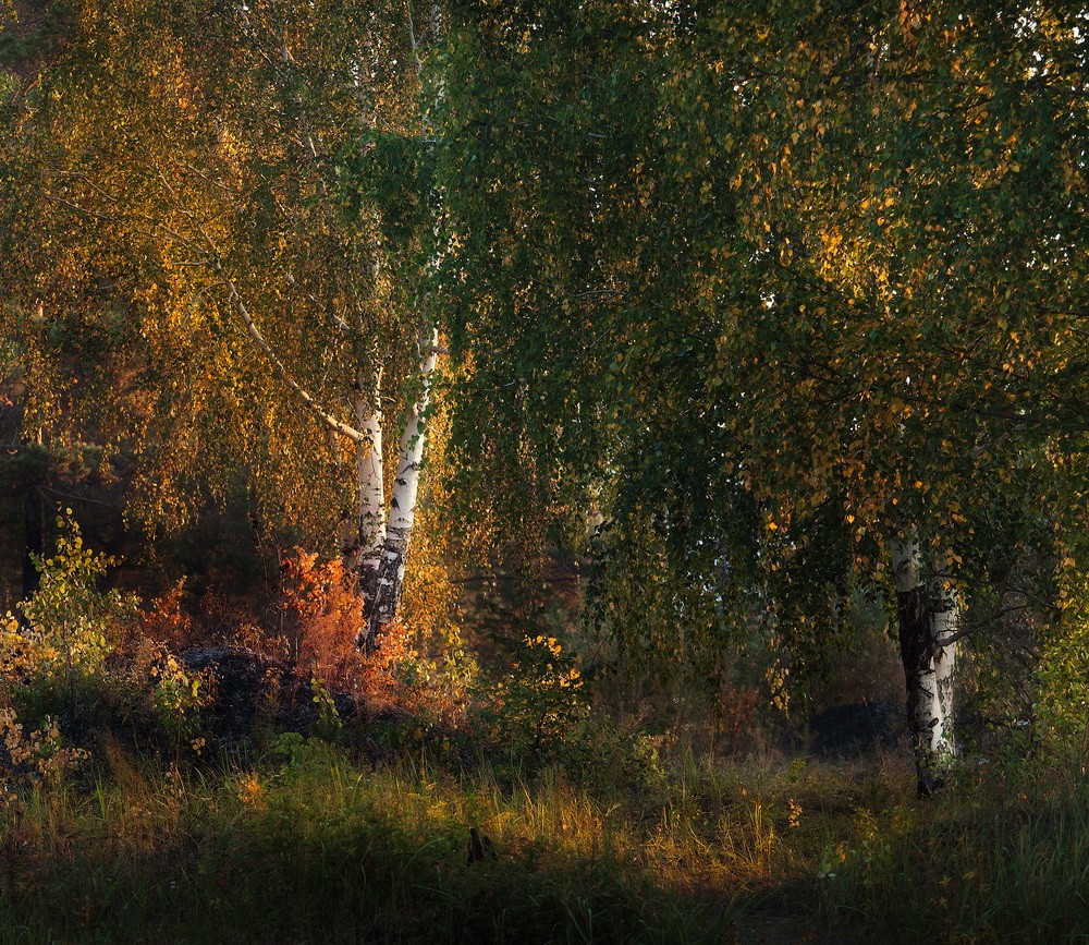 Landscapes: Autumn Sounds