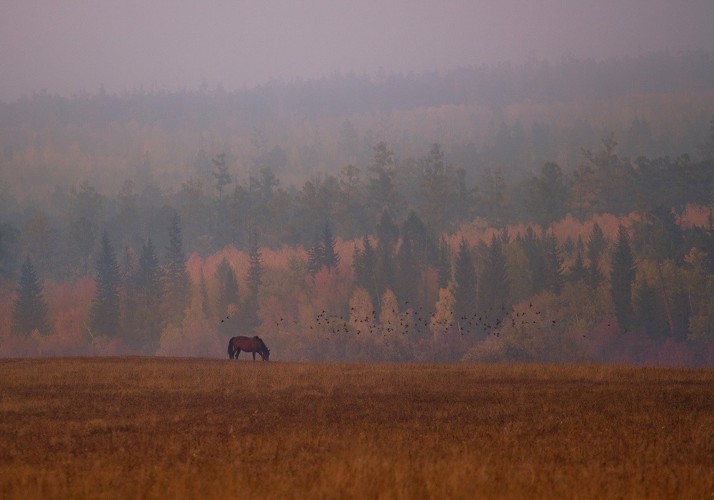 Landscapes: Autumn Sounds