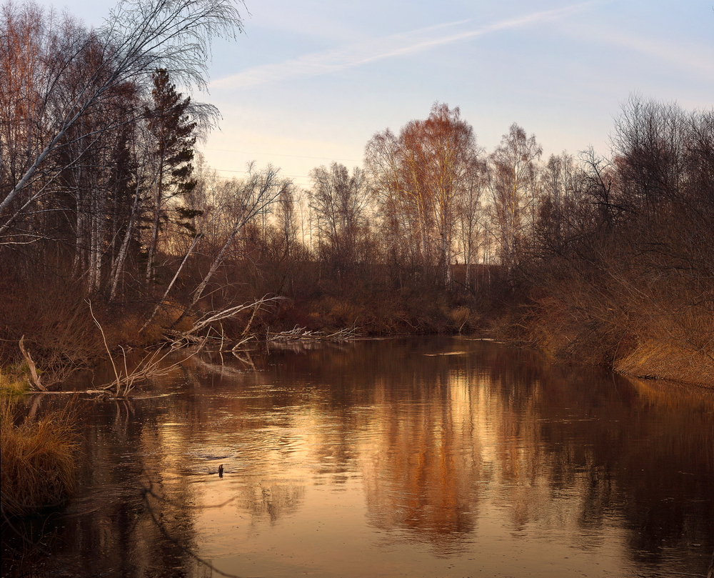Landscapes: Autumn Sounds