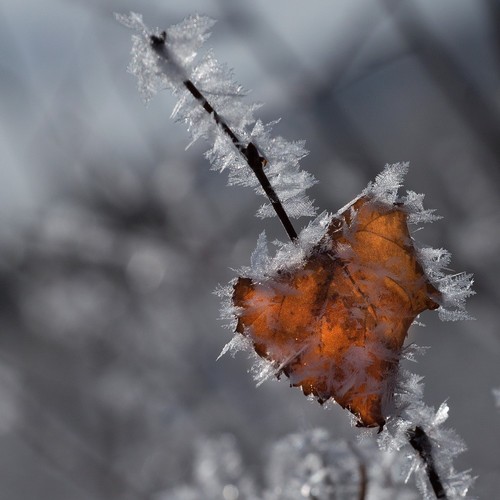 Landscapes: Autumn Sounds