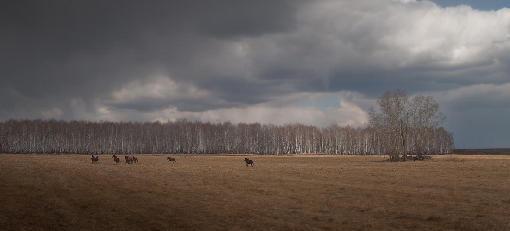 Siberia