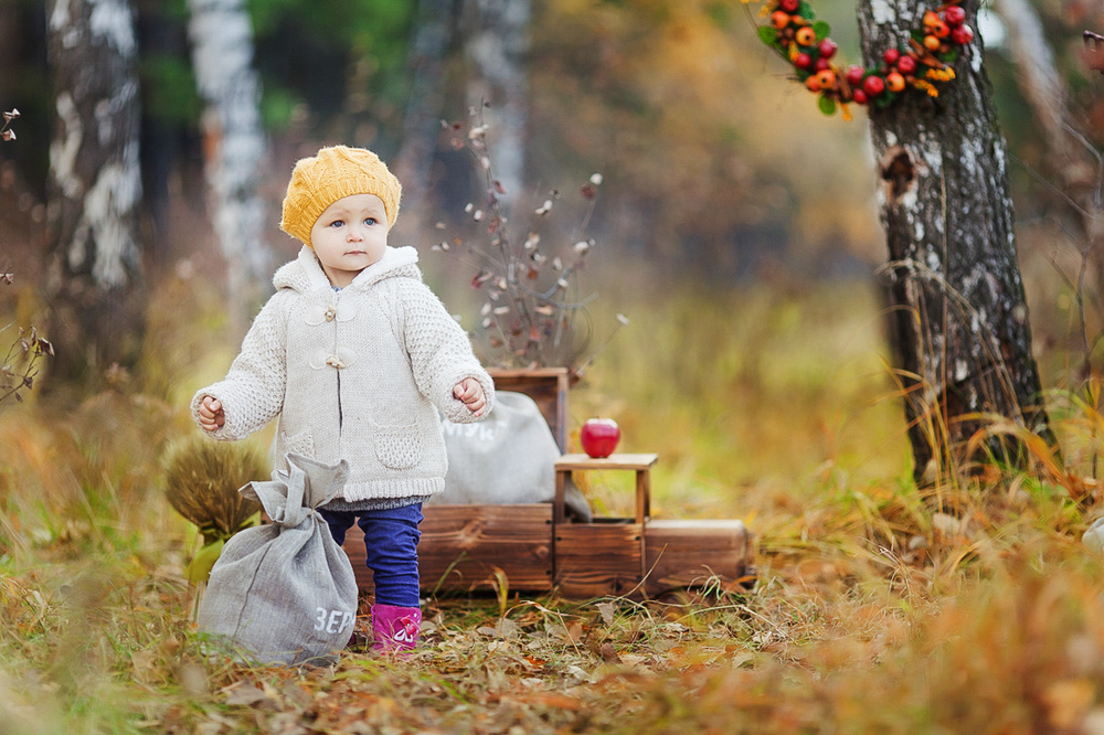 Осенний фотопроект (октябрь 2014)