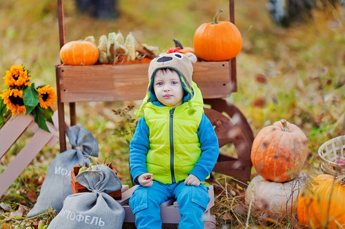 Осенний фотопроект (октябрь 2014)