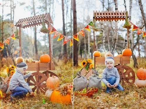 Осенний фотопроект (октябрь 2014)