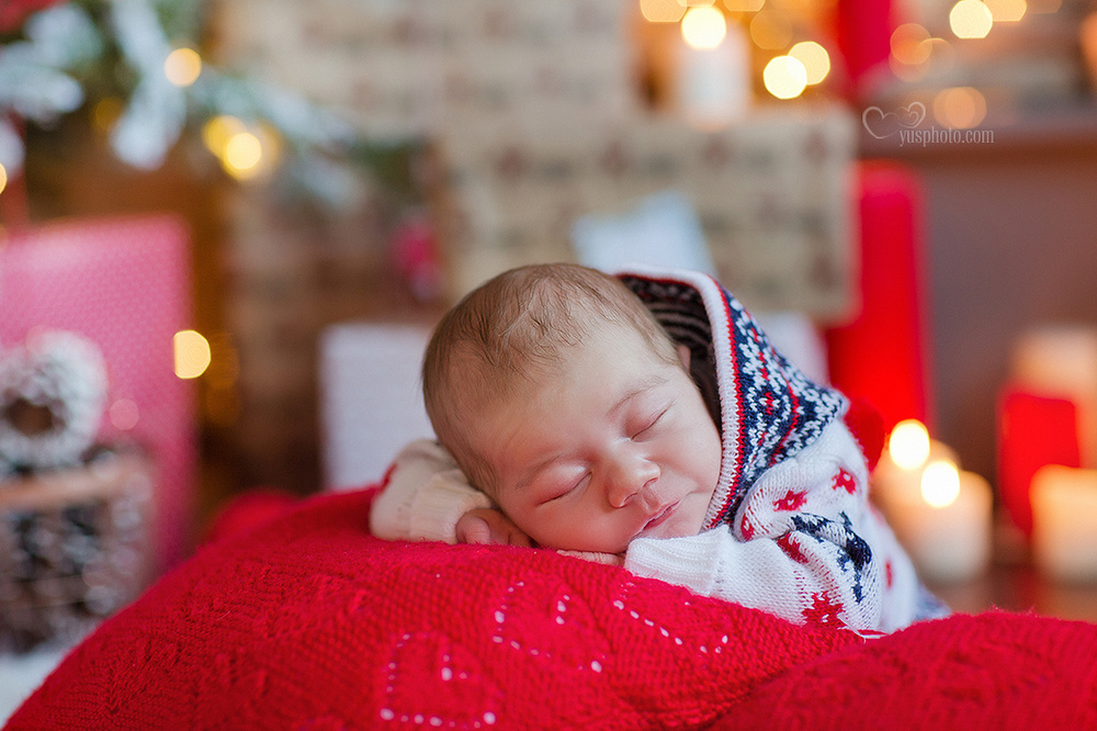 Новогодний фотопроект (декабрь 2015)