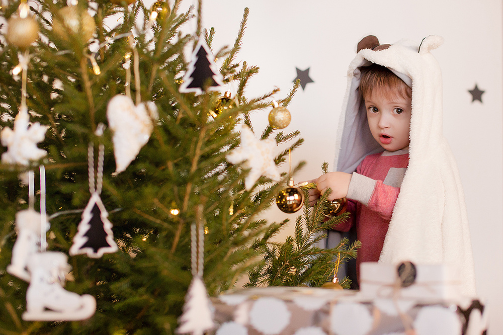 Новогодний фотопроект (декабрь 2015)