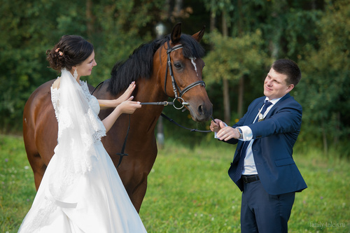 Свадьба