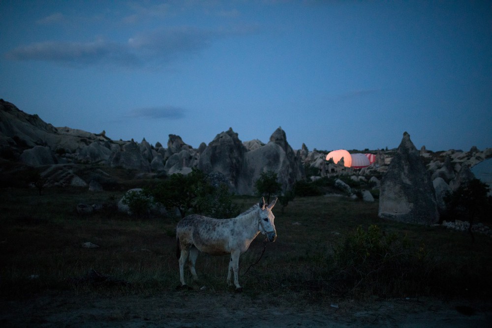 Denis&Dina Istambul/Cappadocia