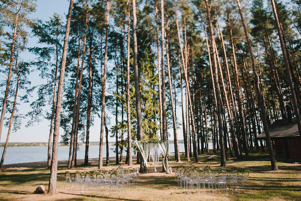 Alex & Sandra. Amazing Wedding