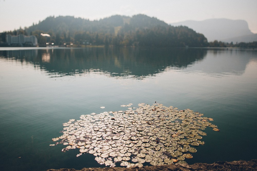 Ales & Yana. Slovenia. Lake Bled