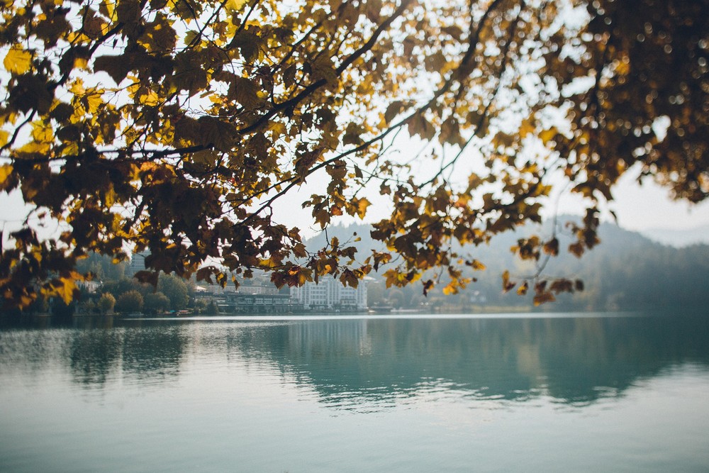 Ales & Yana. Slovenia. Lake Bled
