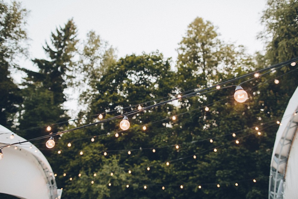 Alex & Alina. Wedding