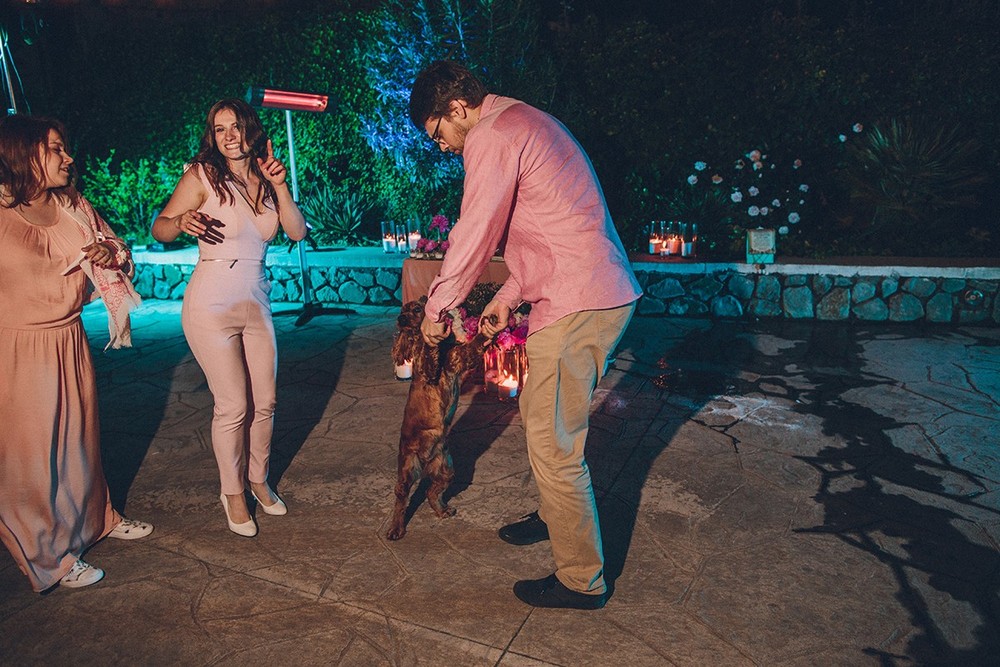 Kostya & Sasha. Wedding