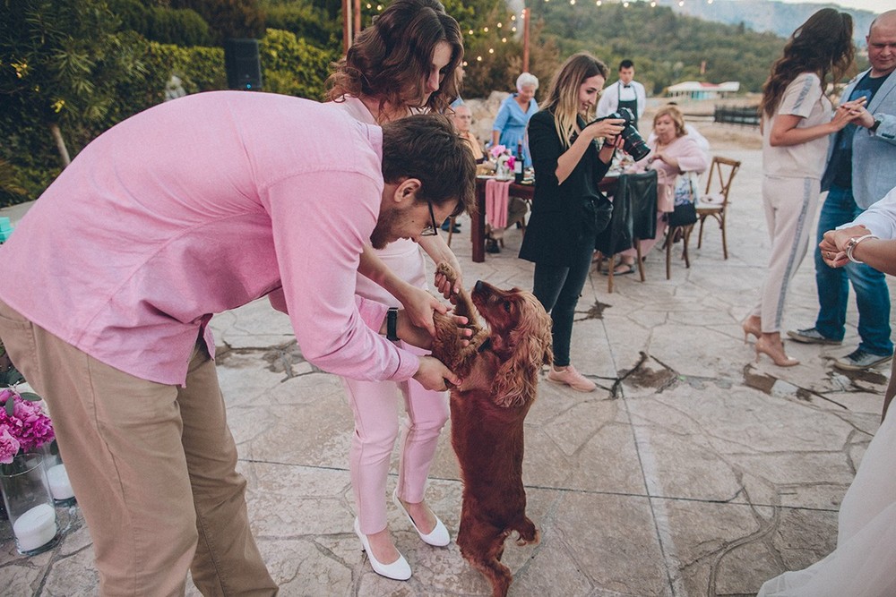 Kostya & Sasha. Wedding