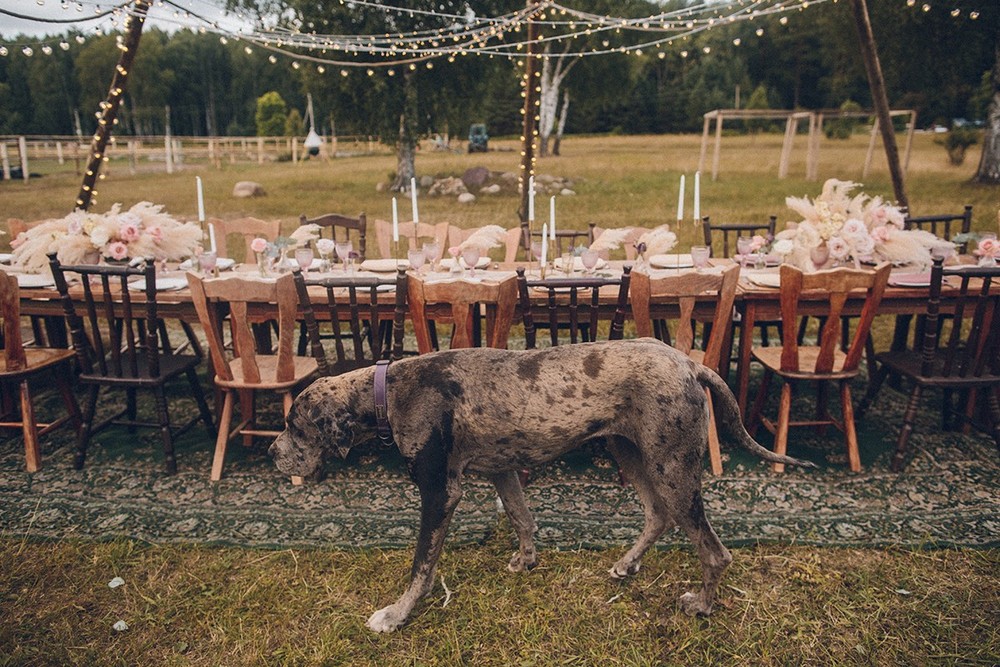 Ilia & Lera. #wedfoodfriends